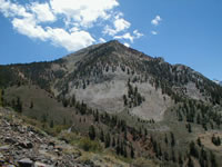 Jawbone Canyon Avalanche Path